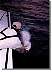 tarpon.gif